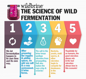 wild fermentation infographic