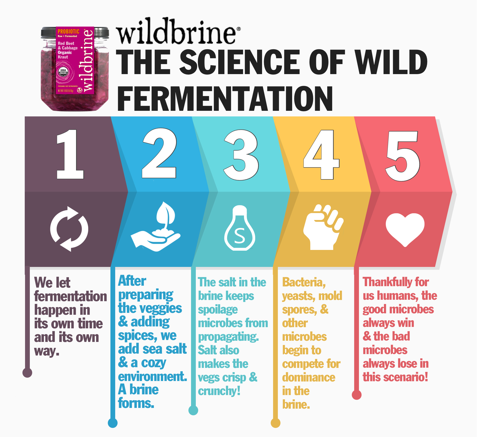 What Is Wild Fermentation Gut Health Wildbrine,What To Wear At A Funeral In The Summer