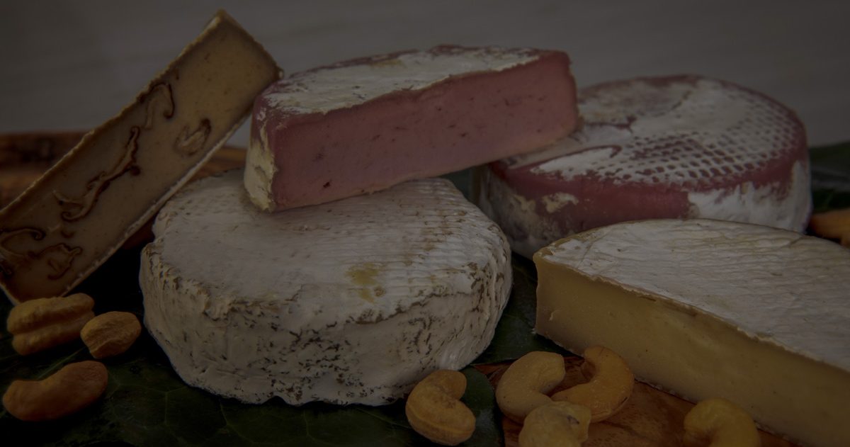 plant based cheeses