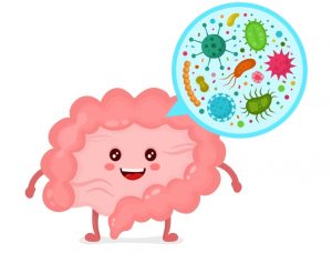 the microbiome helps boost the immune system