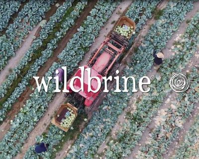 screen shot from wildbrine video