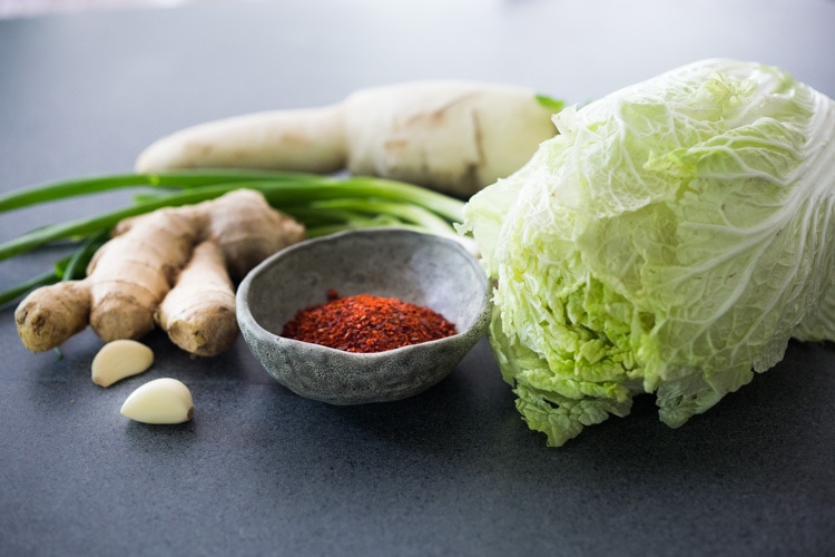 benefits of kimchi - ingredients